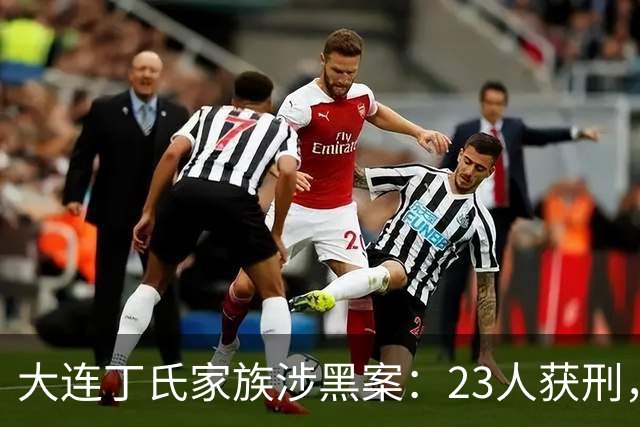 大连丁氏家族涉黑案：23人获刑，涉案资产2.05亿元（2019）