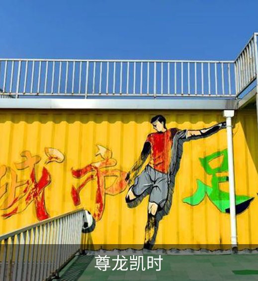 尊龙凯时概况